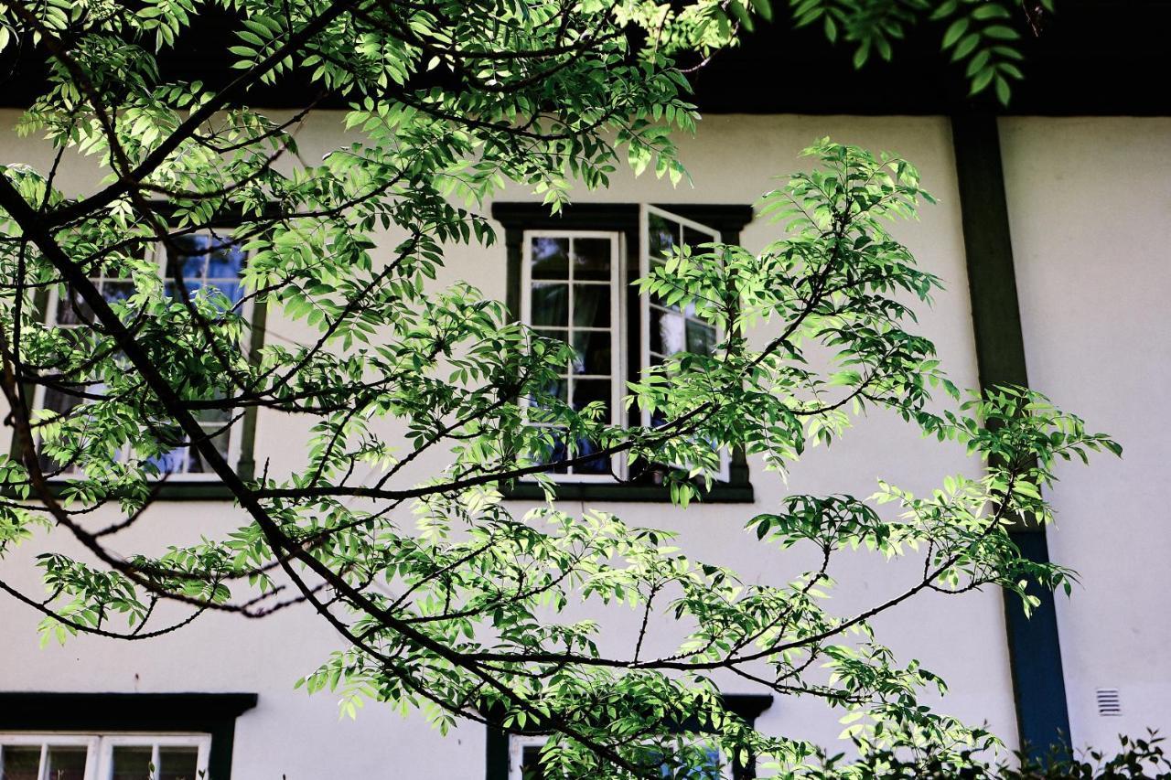 Hotel Herregarden Hoel - De Historiske Nesbyen Exterior foto