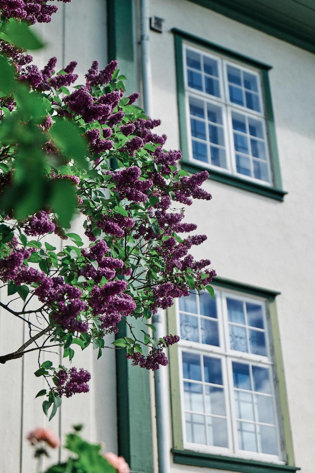 Hotel Herregarden Hoel - De Historiske Nesbyen Exterior foto